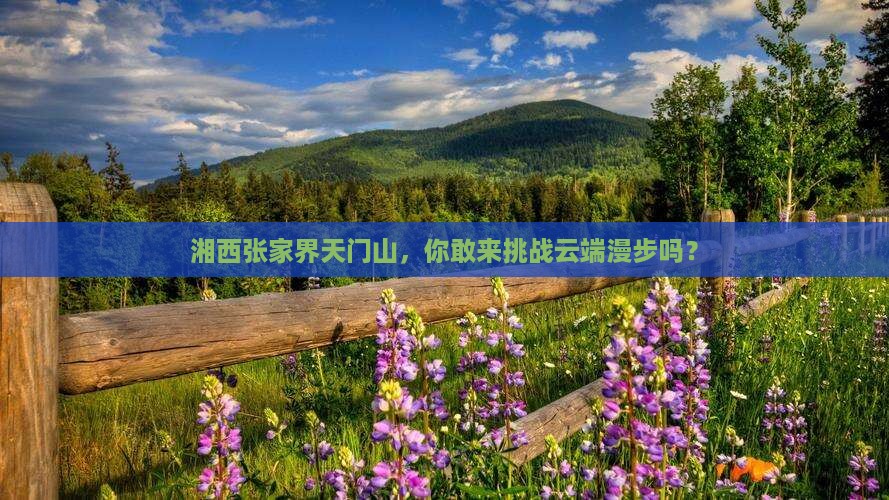 湘西去张家界天门山攻略