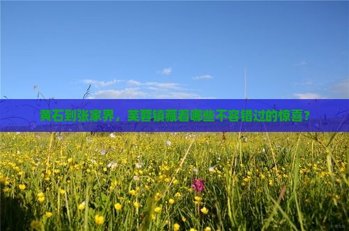 黄石到张家界芙蓉镇哪里玩