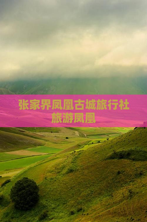 怒江去张家界凤凰古城旅行社