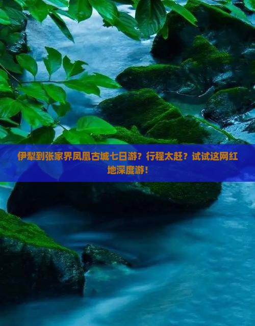 伊犁到张家界凤凰古城七日游