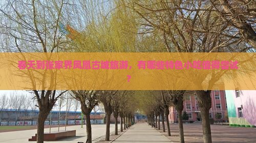 春天到张家界凤凰古城旅游小吃