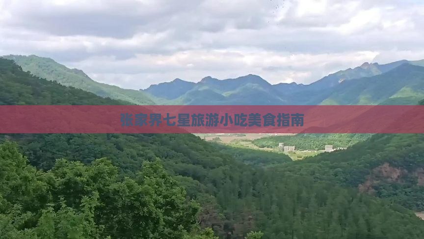 济源去张家界七星山旅游小吃
