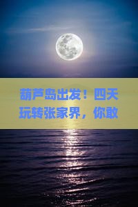 葫芦岛到张家界四日游