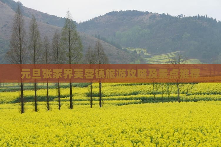 元旦到张家界芙蓉镇景点