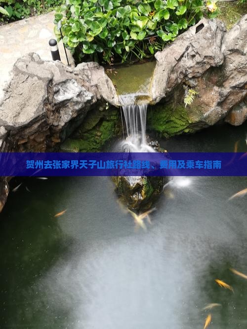 贺州去张家界天子山旅行社