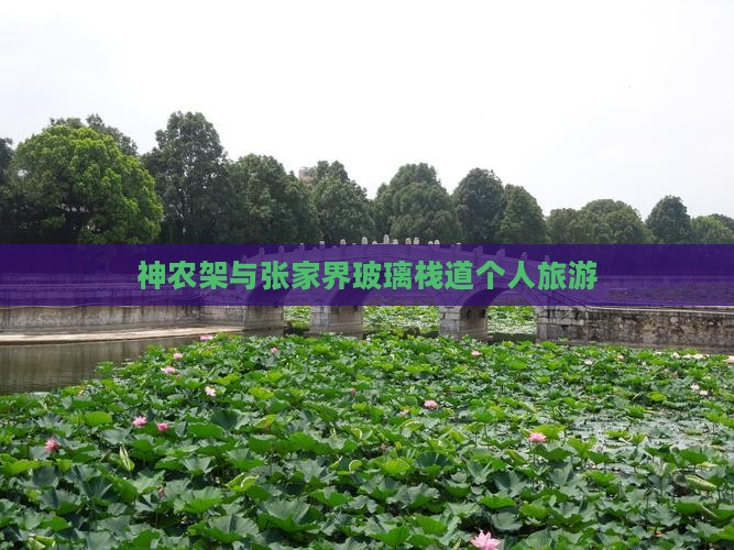 神农架去张家界玻璃栈道个人游