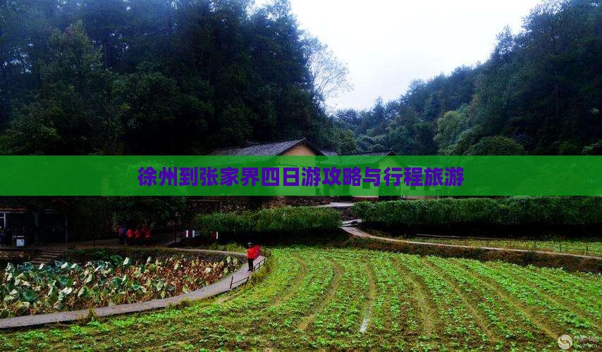 徐州到张家界四日游