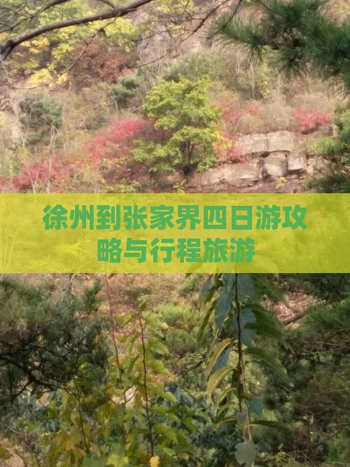 徐州到张家界四日游
