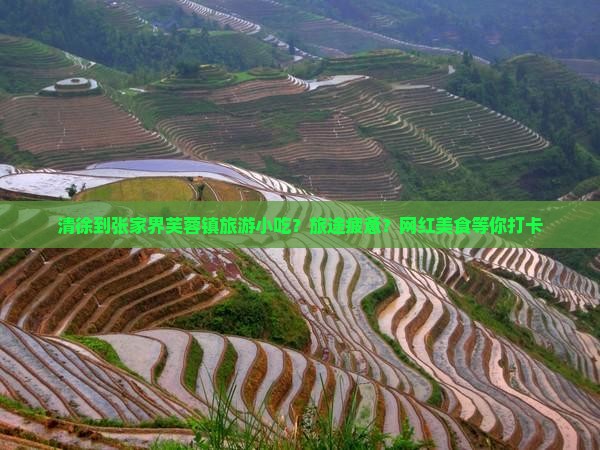 清徐到张家界芙蓉镇旅游小吃 清徐到张家界芙蓉镇旅游小吃