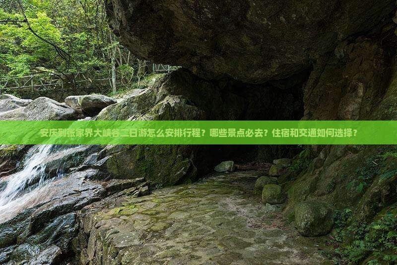 安庆到张家界大峡谷二日游