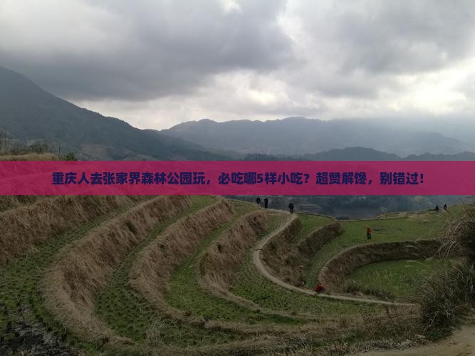 重庆到张家界森林公园旅游小吃