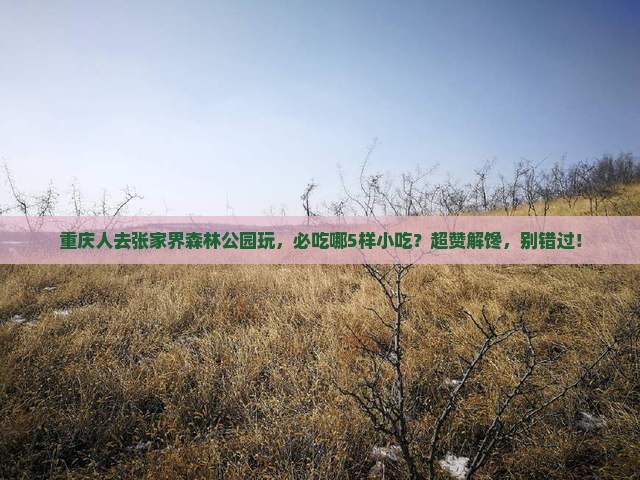 重庆到张家界森林公园旅游小吃