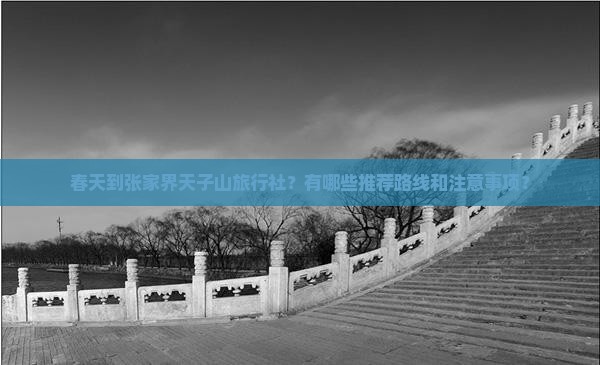 春天到张家界天子山旅行社