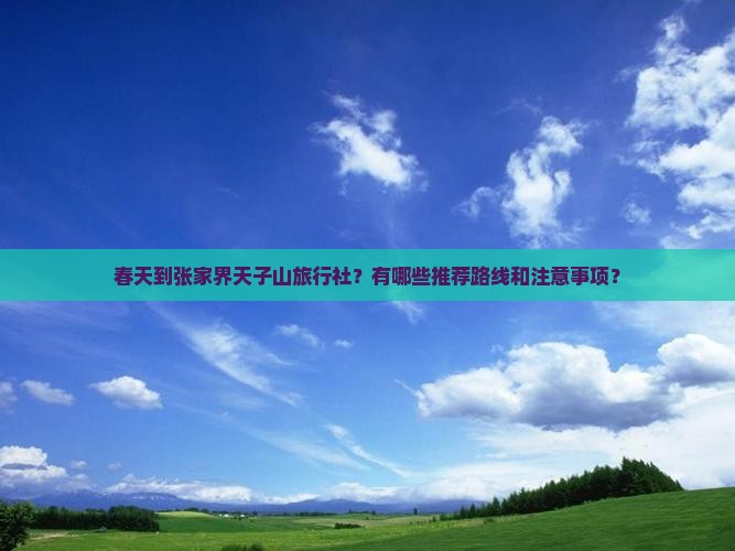 春天到张家界天子山旅行社