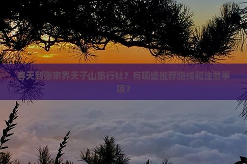 春天到张家界天子山旅行社