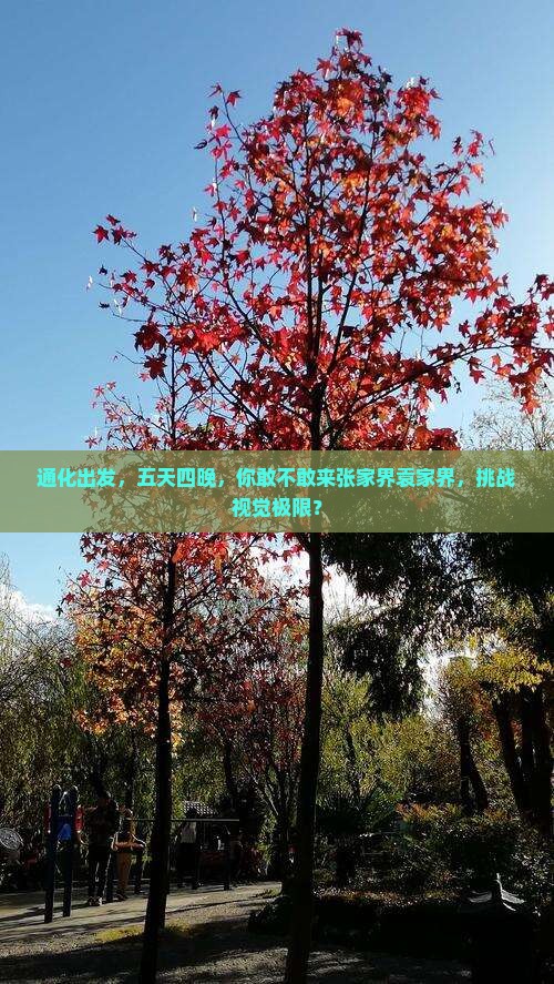 通化到张家界袁家界五日游