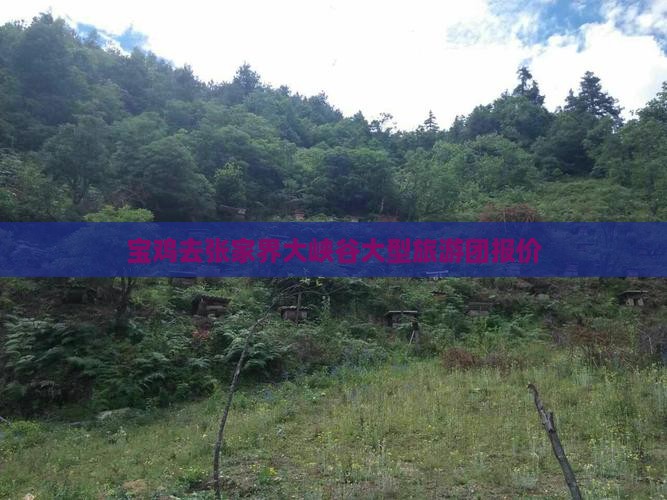 宝鸡去张家界大峡谷大型旅游团
