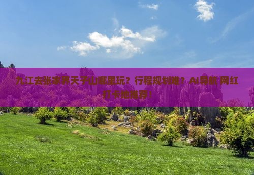 九江去张家界天子山哪里玩
