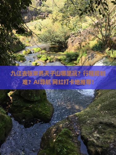 九江去张家界天子山哪里玩