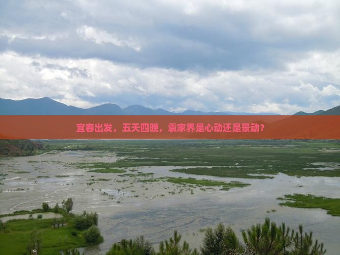 宜春去张家界袁家界五日游