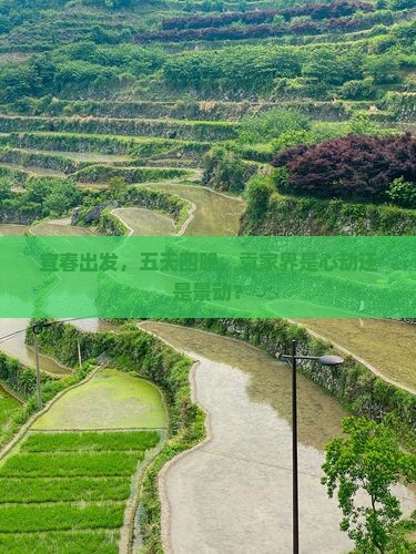 宜春去张家界袁家界五日游