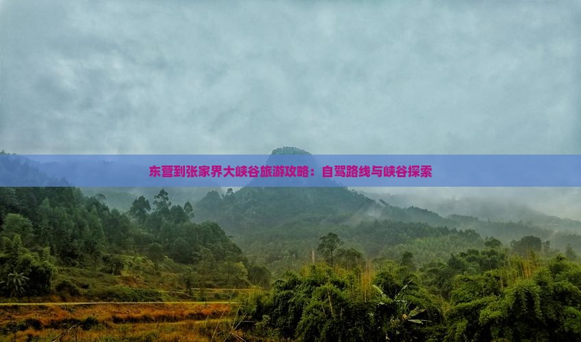 东营到张家界大峡谷旅游
