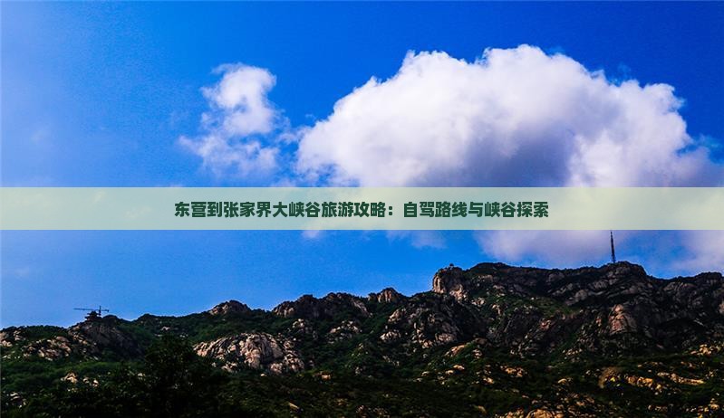 东营到张家界大峡谷旅游