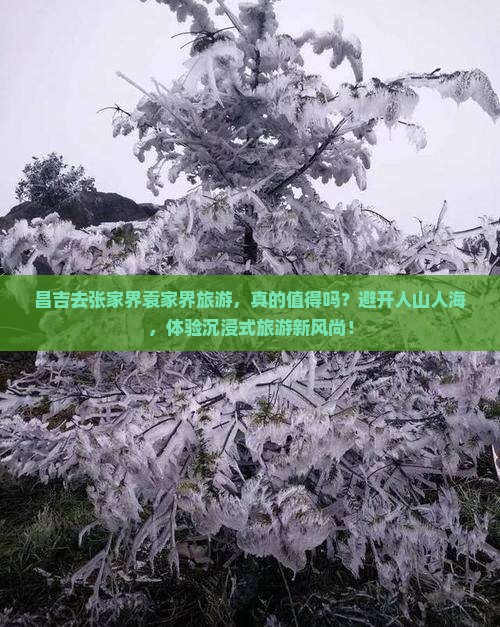 昌吉去张家界袁家界旅游
