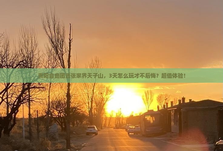 贵阳去张家界天子山自由团