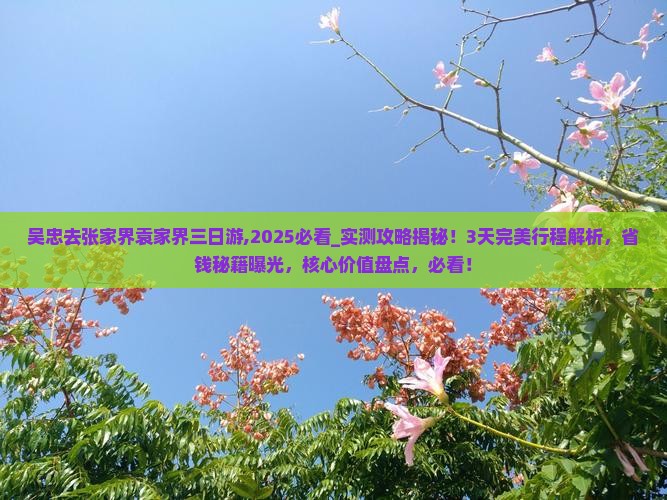 吴忠去张家界袁家界三日游