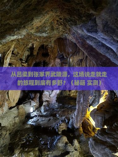 吕梁到张家界武陵源旅游
