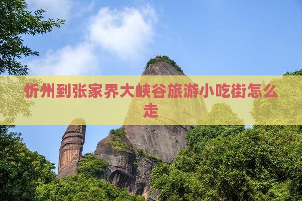 忻州到张家界大峡谷旅游小吃