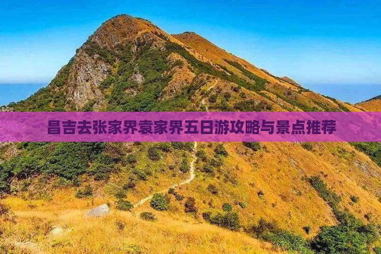 昌吉去张家界袁家界五日游