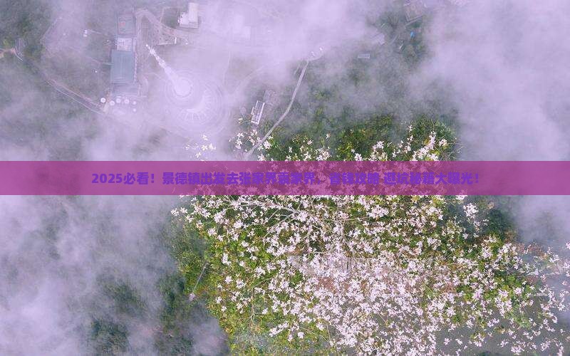 景德镇去张家界袁家界攻略