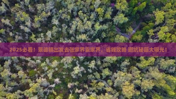景德镇去张家界袁家界攻略