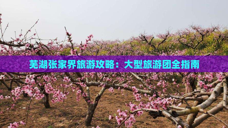 芜湖去张家界大峡谷大型旅游团