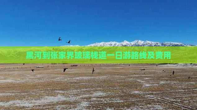 黑河到张家界玻璃栈道一日