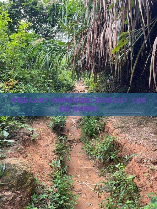 双鸭山去张家界玻璃栈道二日游