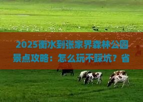 衡水到张家界森林公园景点