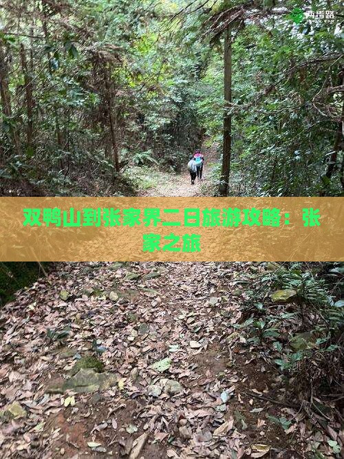双鸭山到张家界二日游