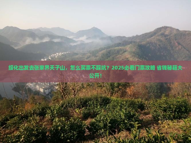 绥化去张家界天子山门票