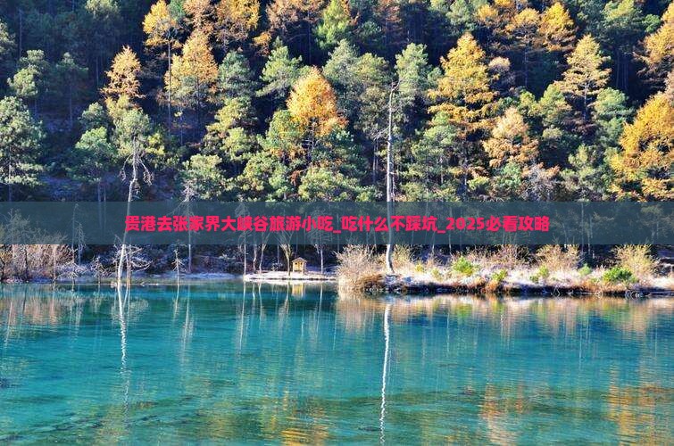 贵港去张家界大峡谷旅游小吃