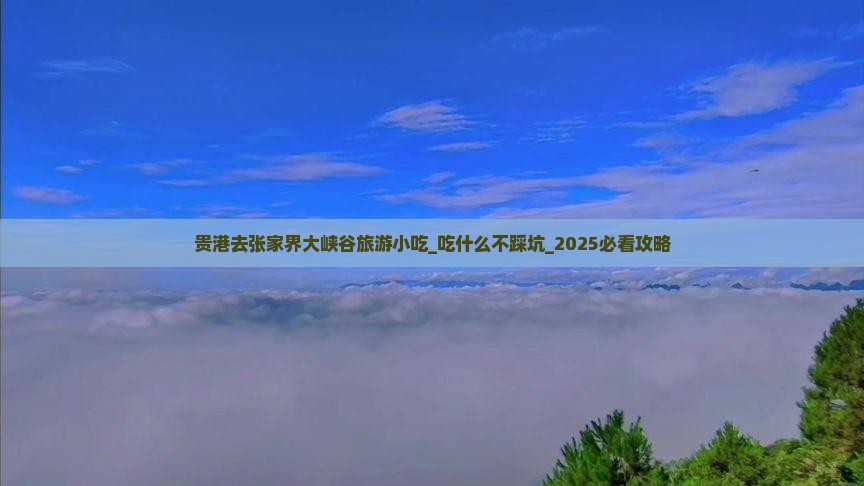 贵港去张家界大峡谷旅游小吃