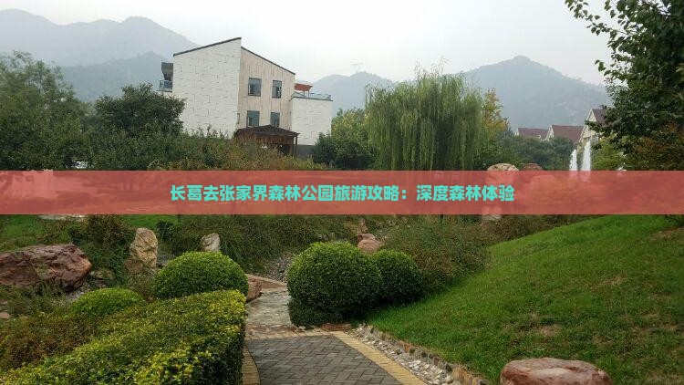 长葛去张家界森林公园个人游