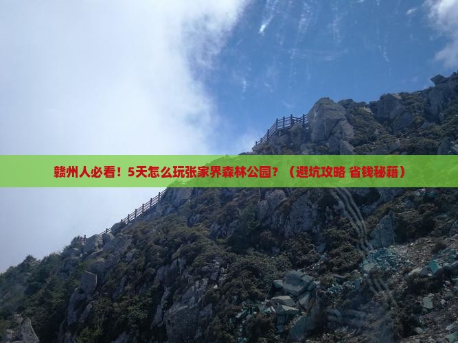 赣州去张家界森林公园五日游