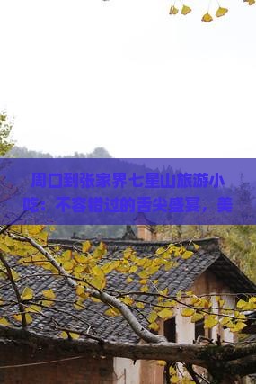周口到张家界七星山旅游小吃