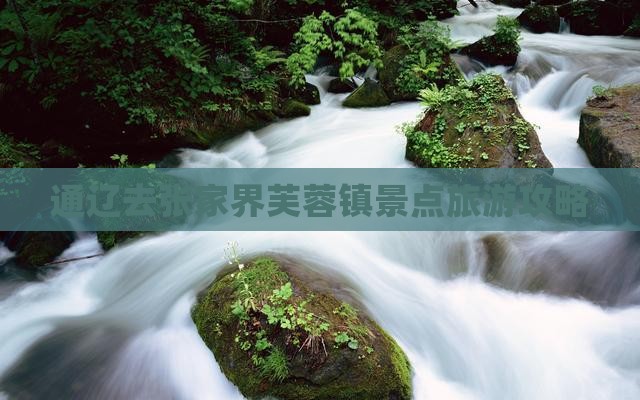 通辽去张家界芙蓉镇一日
