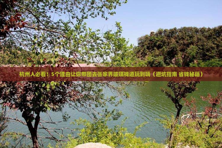 杭州去张家界玻璃栈道团体旅游