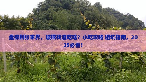 盘锦到张家界玻璃栈道旅游小吃