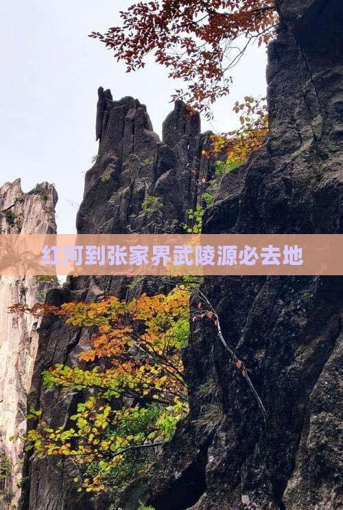 红河到张家界武陵源必去地